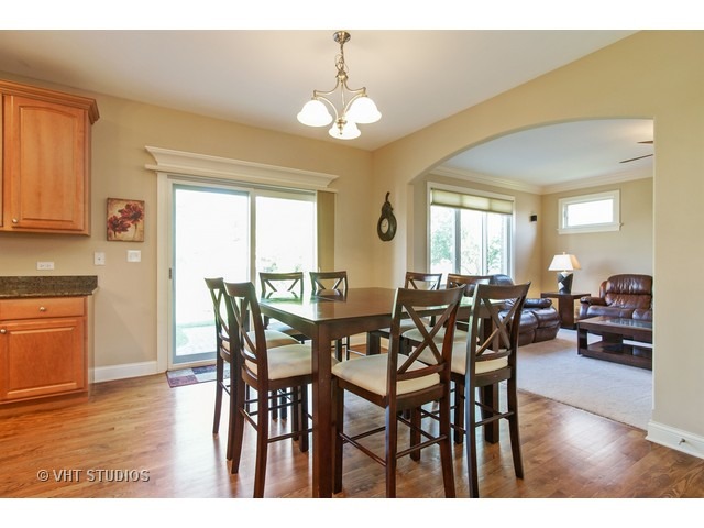 524 Spring St, Roselle, IL 60172 photo 9