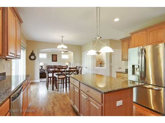 524 Spring St, Roselle, IL 60172 photo 8