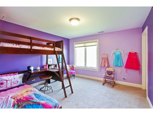 524 Spring St, Roselle, IL 60172 photo 18