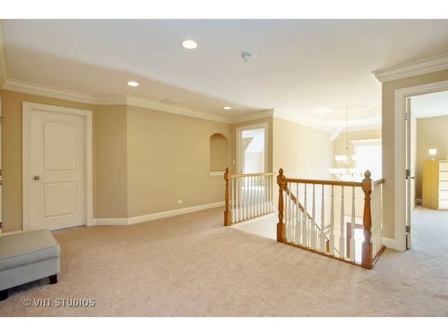 524 Spring St, Roselle, IL 60172 photo 13