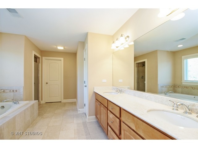 524 Spring St, Roselle, IL 60172 photo 15
