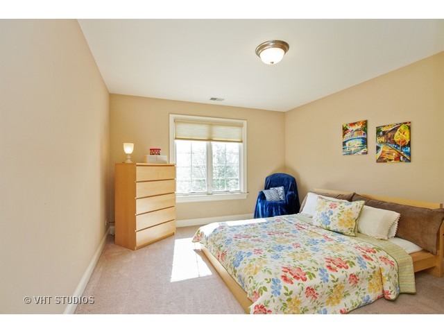 524 Spring St, Roselle, IL 60172 photo 19