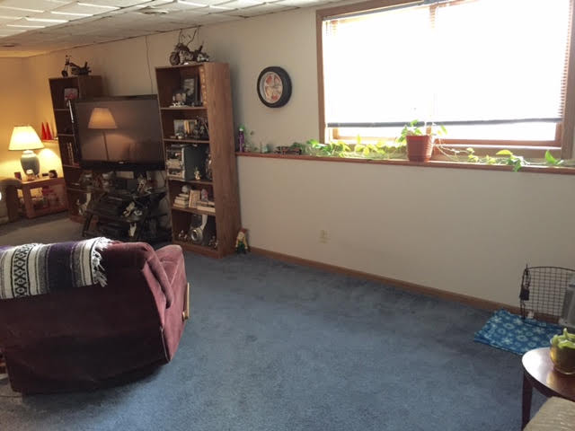 112 Eula St, Wilmington, IL 60481 photo 18