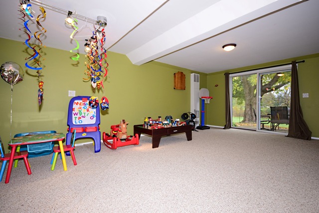 2736 Rolling Meadows Dr, Naperville, IL 60564 photo 20