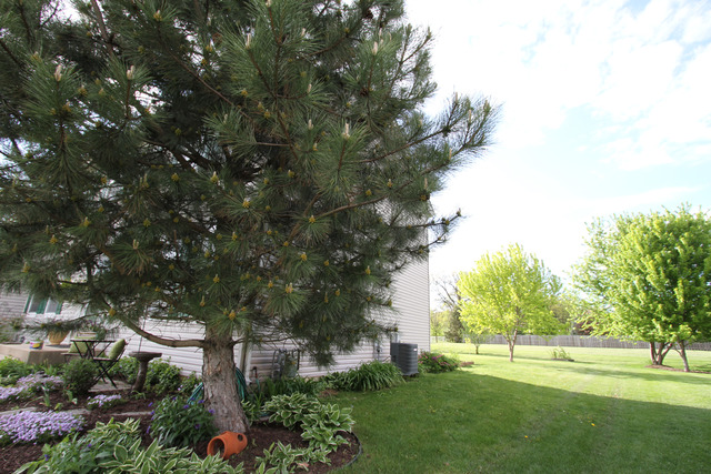 6312 Midleton Ln, Mchenry, IL 60050 photo 24