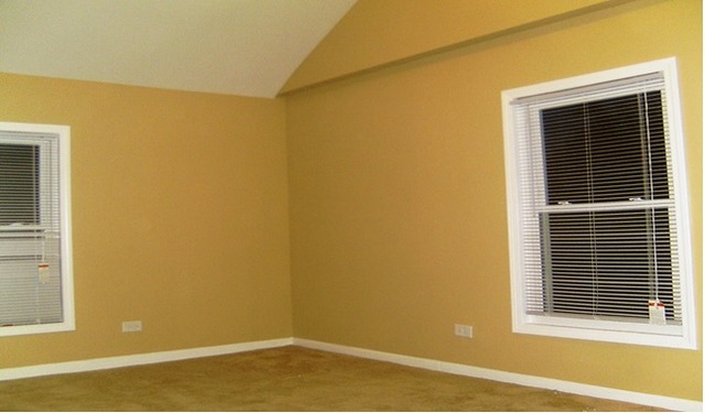 579 E Galena Blvd, Aurora, IL 60505 photo 10