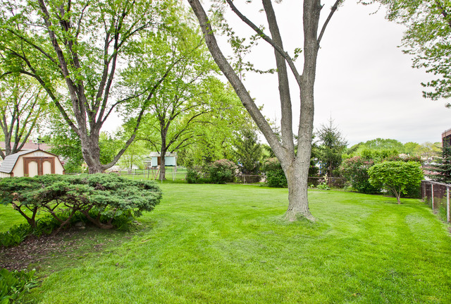 1355 Meyer Rd, Hoffman Estates, IL 60169 photo 22