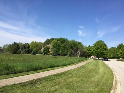 13905 Leanne Ct, Mokena, IL 60448 photo 3