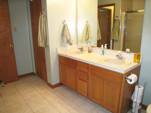 4407 Northmont Ct, Plainfield, IL 60586 photo 11
