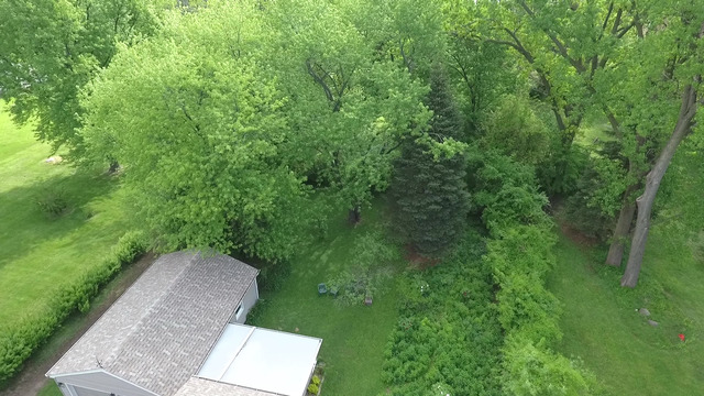 1761 Gary Ave, Aurora, IL 60505 photo 19