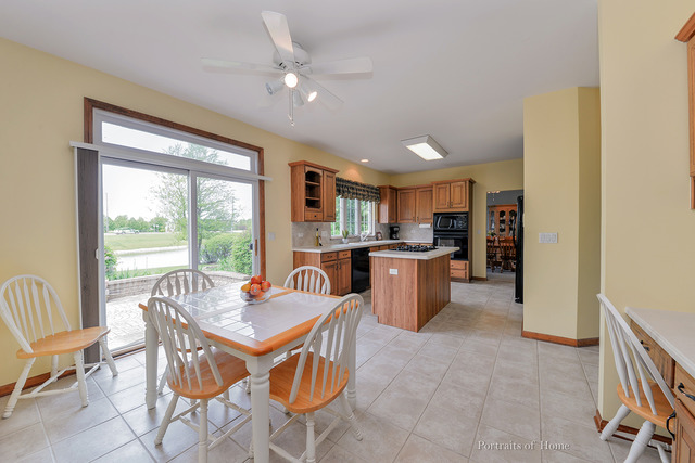 13020 Cathy Ln, Plainfield, IL 60585 photo 10