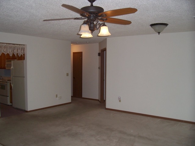 1036 Myra Ct, Morris, IL 60450 photo 8