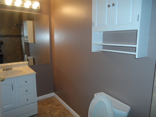 935 Sandpiper Ct, Bartlett, IL 60103 photo 21