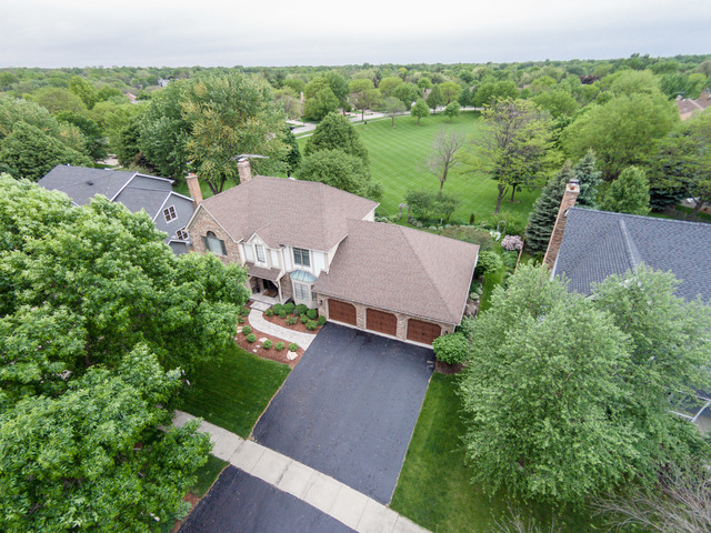 1005 Stanton Dr, Naperville, IL 60540 photo 1