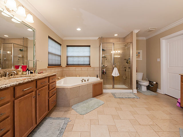21174 Jim Johnson Ct, Steger, IL 60475 photo 12
