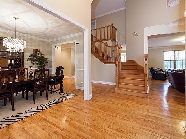 21174 Jim Johnson Ct, Steger, IL 60475 photo 3