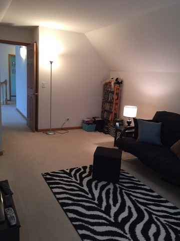 1788 Edith Ln, Aurora, IL 60504 photo 21