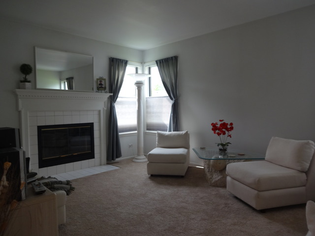 1439 Baron Ct, Bartlett, IL 60103 photo 3