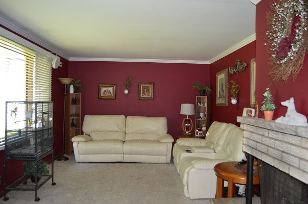 995 Ruth Dr, Elgin, IL 60123 photo 2