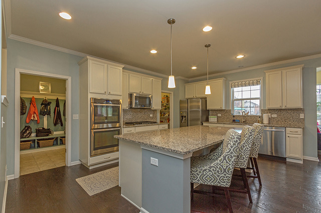 295 Monument Rd, Elgin, IL 60124 photo 9
