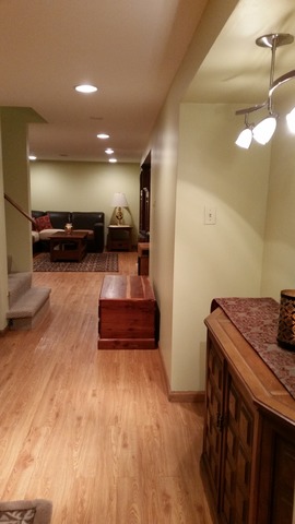 1114 E 7th St, Lockport, IL 60441 photo 18
