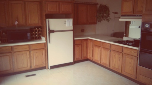 1020 Beverly Dr, Wheeling, IL 60090 photo 4