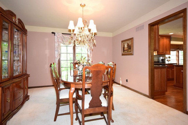 195 Jervey Ln, Bartlett, IL 60103 photo 5