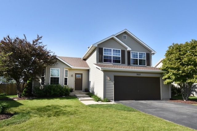 7607 Locust Ln, Plainfield, IL 60586 photo 1