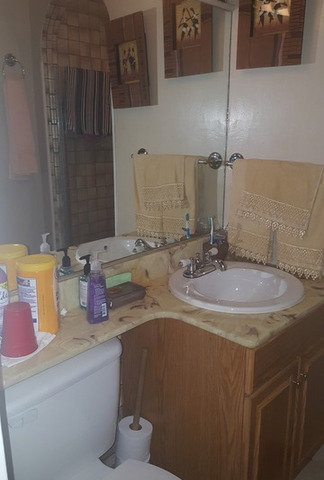 15546 Dobson Ave, Dolton, IL 60419 photo 14