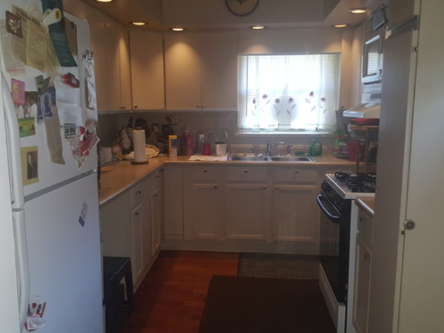 15546 Dobson Ave, Dolton, IL 60419 photo 7
