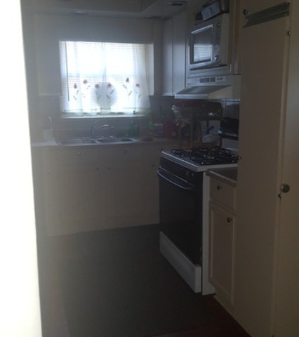 15546 Dobson Ave, Dolton, IL 60419 photo 9