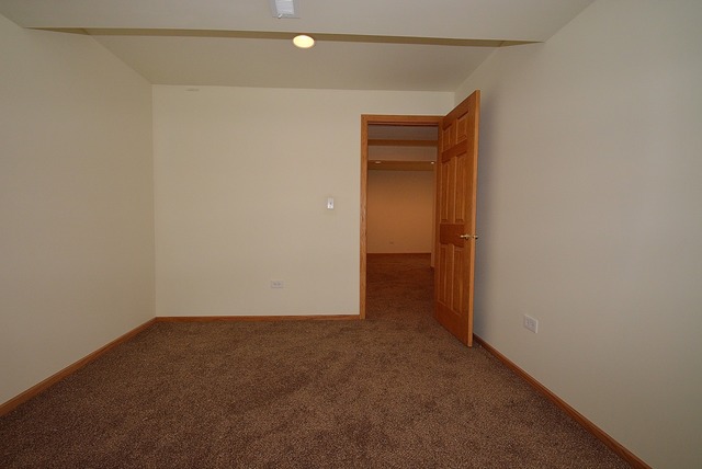 16125 Vintage Dr, Plainfield, IL 60586 photo 19