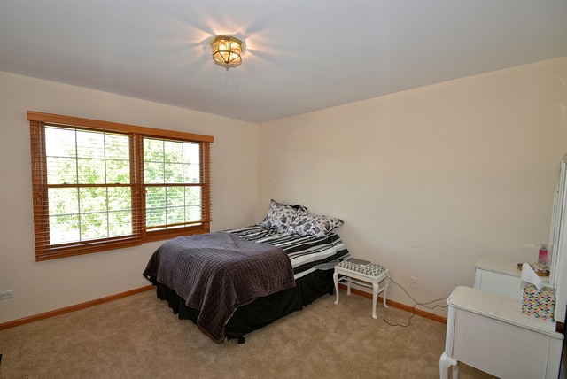 16125 Vintage Dr, Plainfield, IL 60586 photo 13