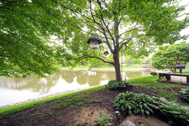 1066 Creekside Ct #1A, Wheeling, IL 60090 photo 10