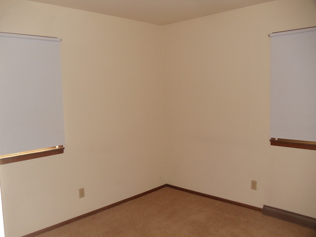 316 Prospect Ave, Dwight, IL 60420 photo 11