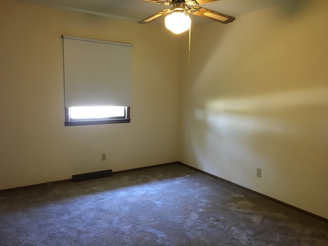 316 Prospect Ave, Dwight, IL 60420 photo 13