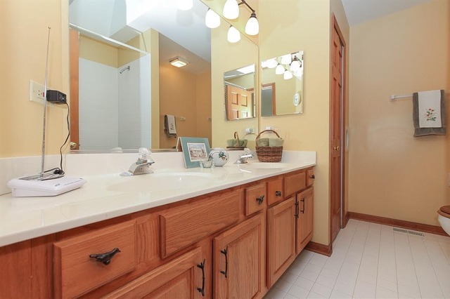 5205 Landers Dr, Hoffman Estates, IL 60192 photo 17