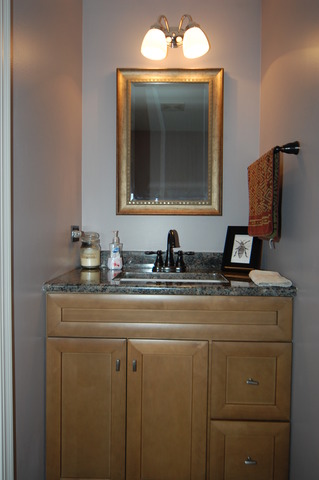400 Gregory M Sears Dr, Gilberts, IL 60136 photo 20