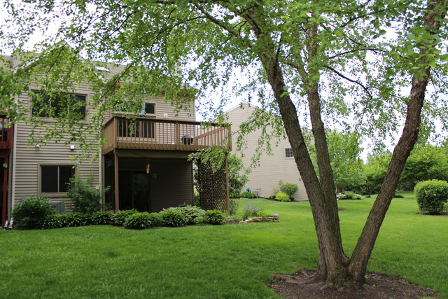 23142 Judith Ct, Plainfield, IL 60586 photo 23