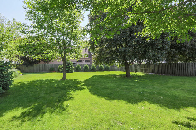 12441 Falcon Dr, Plainfield, IL 60585 photo 24