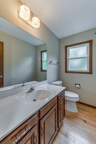 1113 E Gartner Rd, Naperville, IL 60540 photo 11