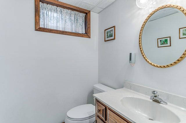 1113 E Gartner Rd, Naperville, IL 60540 photo 21