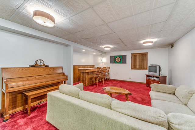 1113 E Gartner Rd, Naperville, IL 60540 photo 19