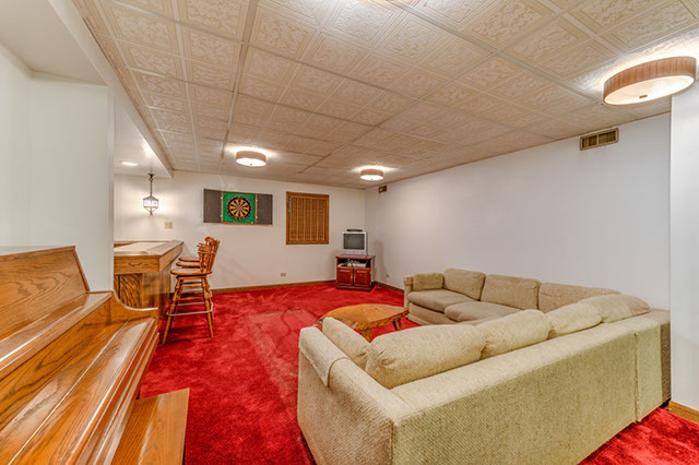 1113 E Gartner Rd, Naperville, IL 60540 photo 18