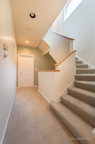 1069 W Polk St, Chicago, IL 60607 photo 19