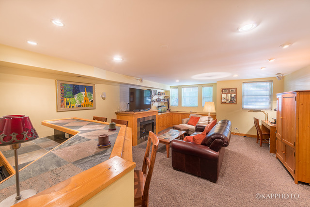 1069 W Polk St, Chicago, IL 60607 photo 20