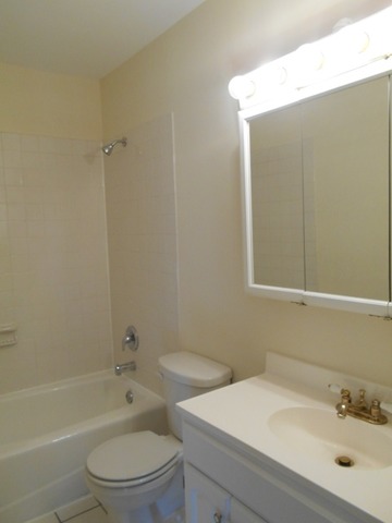 882 Marina Ter, Bartlett, IL 60103 photo 16