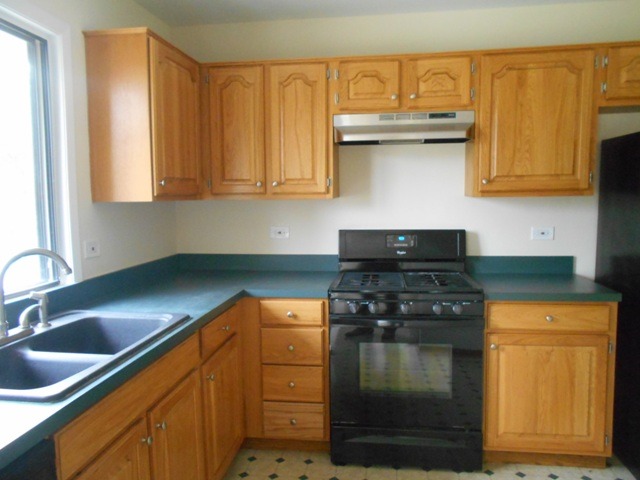 882 Marina Ter, Bartlett, IL 60103 photo 8
