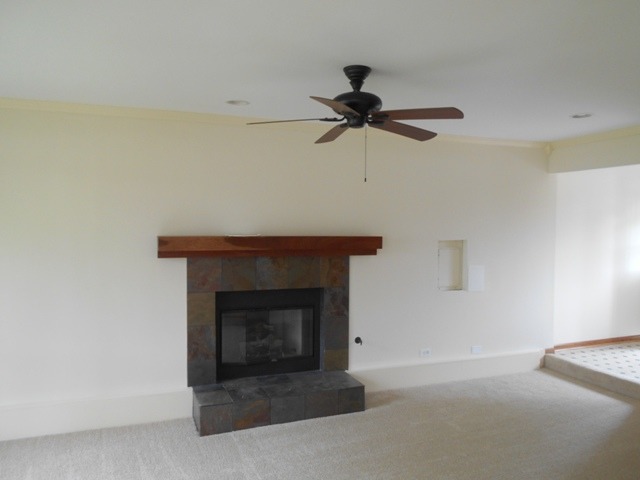 882 Marina Ter, Bartlett, IL 60103 photo 12
