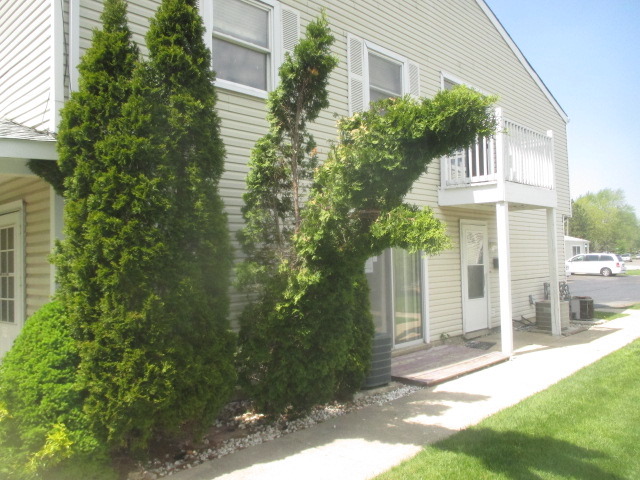 196 Elizabeth Ct #C, Bartlett, IL 60103 photo 9